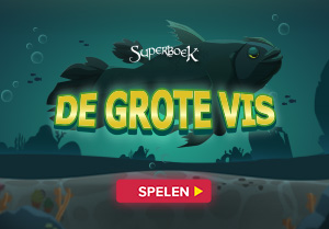 De grote vis